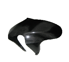 Carbon Schutzblech VO