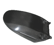 Carbon Schutzblech HI