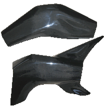 Carbon Schwingenschutz