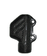 Carbon Bremszylinderabdeckung