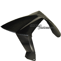 Carbon Kotflügel vorne
