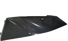 Carbon Tankverkleidung rechts